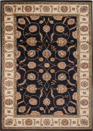 Nourison Paramount PAR09 Black Area Rug Main Image