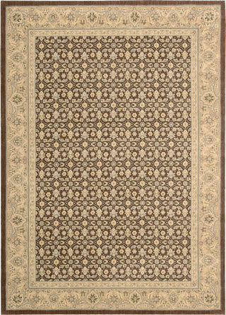 Nourison Persian Empire PE26 Chocolate Area Rug Main Image