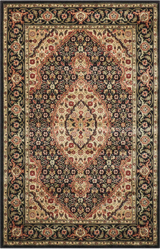 Nourison Persian Arts BD03 Black Area Rug 3'6'' X 5'6''