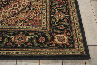 Nourison Persian Arts BD03 Black Area Rug Detail Image