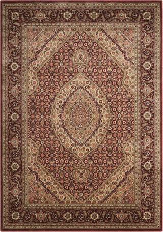 Nourison Persian Arts BD03 Brick Area Rug main image