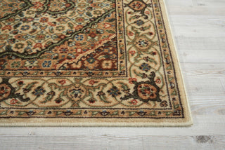 Nourison Persian Arts BD03 Ivory Area Rug Detail Image