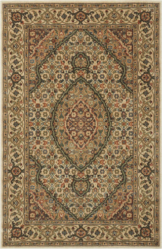 Nourison Persian Arts BD03 Ivory Area Rug