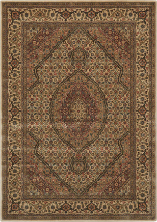 Persian Arts BD03 Ivory Area Rug by Nourison Main Image