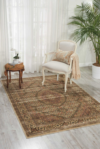 Nourison Persian Arts BD03 Ivory Area Rug Room Image