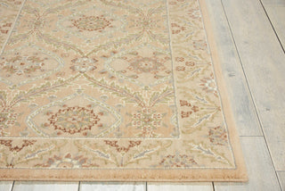 Nourison Persian Empire PE24 Light Gold Area Rug Detail Image