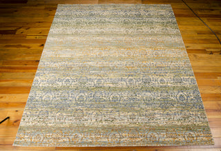 Nourison Rhapsody RH003 Beige Blue Area Rug 8' X 10' Floor Shot