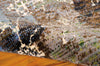 Nourison Rhapsody RH006 Seaglass Area Rug Detail Image