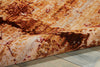 Nourison Rhapsody RH006 Gold Garnet Area Rug Detail Image