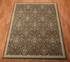 Nourison Riviera RI02 Chocolate Area Rug Main Image
