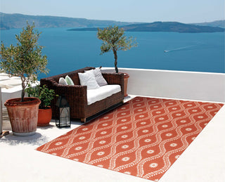 Nourison Home and Garden RS085 Rust Area Rug Outdoor Image Feature