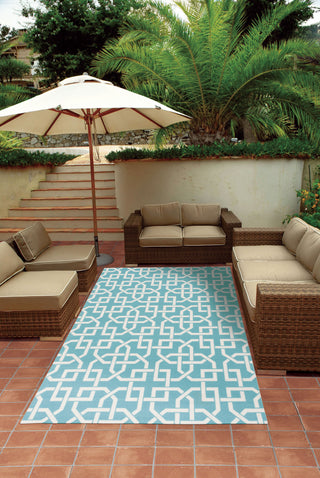 Nourison Home and Garden RS090 Aqua Area Rug 5' X 7' Outdoor Shot Feature