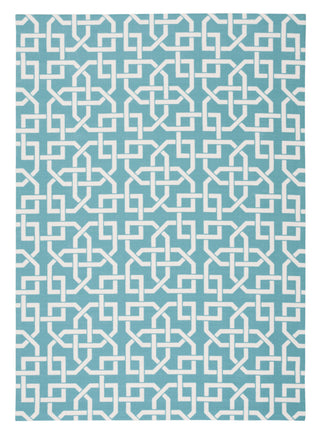 Nourison Home and Garden RS090 Aqua Area Rug main image