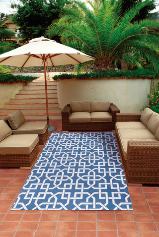 Nourison Home and Garden RS090 Navy Area Rug 5' X 7' Outdoor Shot