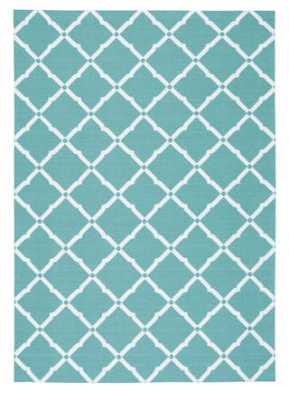 Nourison Home and Garden RS091 Aqua Area Rug main image