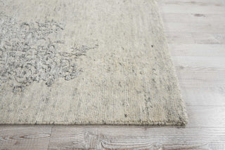 Nourison Silk Shadows SHA14 Ivory/Silver Area Rug Detail Image