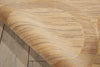 Nourison Silken Allure SLK21 Sand Area Rug Detail Image