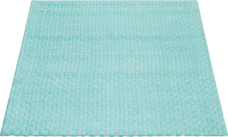 Nourison Sojourn SOJ01 Aqua Area Rug Main Image