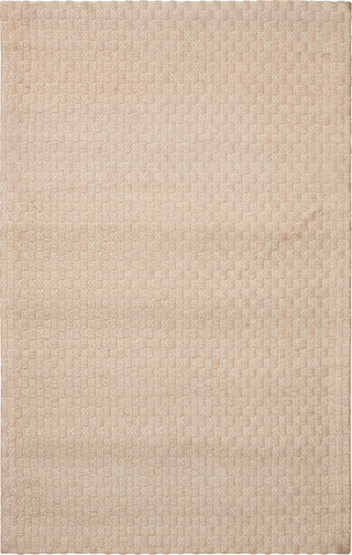 Nourison Sojourn SOJ01 Champagne Area Rug 2'6'' X 4'