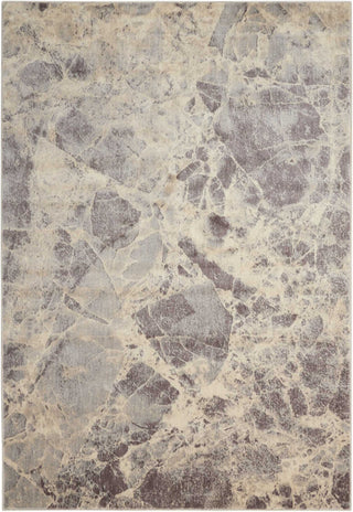 Nourison Somerset ST745 Grey Area Rug main image