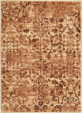 Nourison Somerset ST757 Latte Area Rug