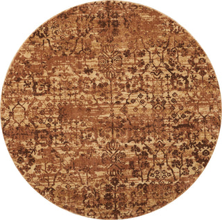 Nourison Somerset ST757 Latte Area Rug