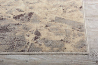 Nourison Somerset ST745 Grey Area Rug Detail Image