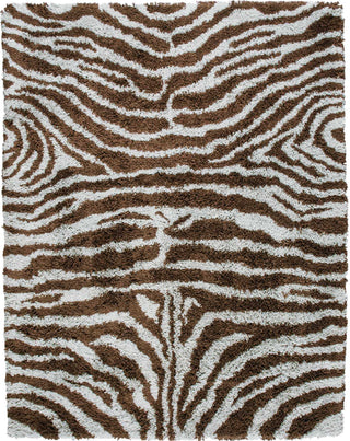 Nourison Splendor SPL17 Aqua Brown Area Rug Main Image