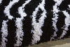 Nourison Splendor SPL17 Black White Area Rug Detail Image
