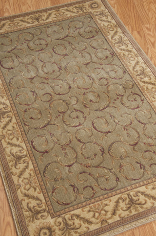 Nourison Somerset ST02 Meadow Area Rug 4' X 6' Floor Shot