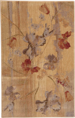 Nourison Somerset ST18 Beige Area Rug 