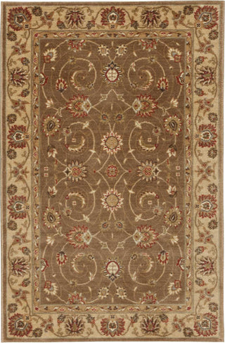 Nourison Somerset ST62 Taupe Area Rug 