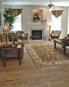 Nourison Somerset ST62 Taupe Area Rug 6' X 8' Living Space Shot Feature