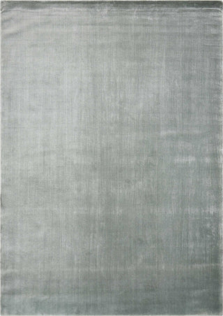 Nourison Starlight STA06 Pewter Area Rug Main Image