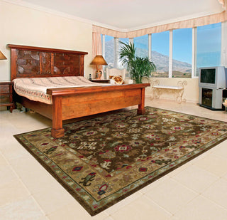 Nourison Tahoe TA10 Espresso Area Rug Room Image Feature