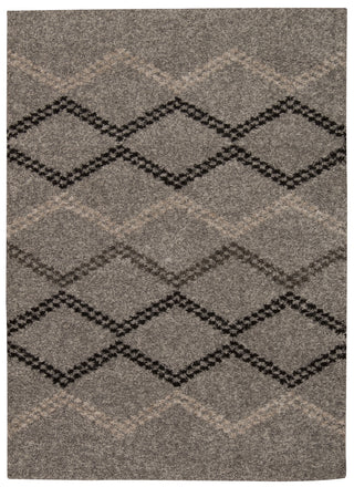 Nourison Tangier TAN01 Silver Area Rug main image