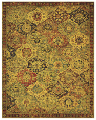 Nourison Timeless TML03 Multicolor Area Rug main image