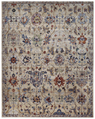 Nourison Timeless TML12 Taupe Area Rug main image