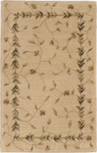 Nourison Somerset ST04 Beige Area Rug 