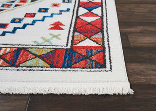 Tribal Decor TRL02 White Area Rug by Nourison Detail Image