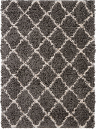 Nourison Ultra Plush Shag ULP02 Charcoal/Beige Area Rug main image