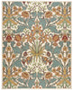 Nourison Vista VIS58 Ivory Area Rug