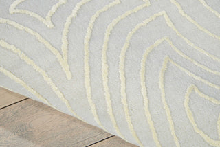 Nourison Vita VIT11 Beige Area Rug Detail Image