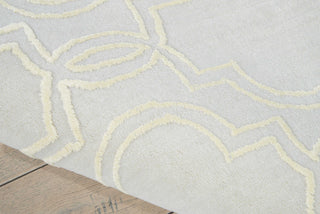 Nourison Vita VIT12 Beige Area Rug Detail Image