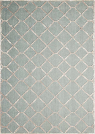 Nourison Vita VIT13 Sage Area Rug main image