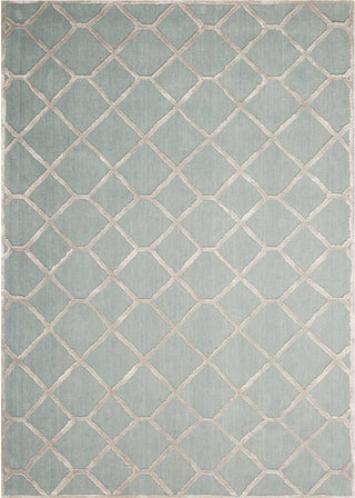 Nourison Vita VIT13 Sage Area Rug 5' X 7'