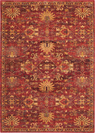 Nourison Vintage Tradition VGT02 Brick Area Rug main image