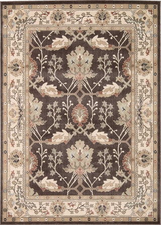 Walden WAL04 Bistre Area Rug by Nourison Main Image