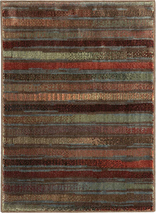 Nourison Expressions XP11 Multicolor Area Rug 