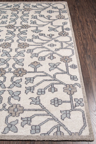 Momeni Nova NOV-3 Ivory Area Rug Detail Shot